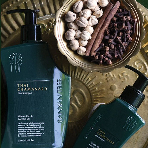 Dalle Baynan Tree SPA, i prodotti di bellezza