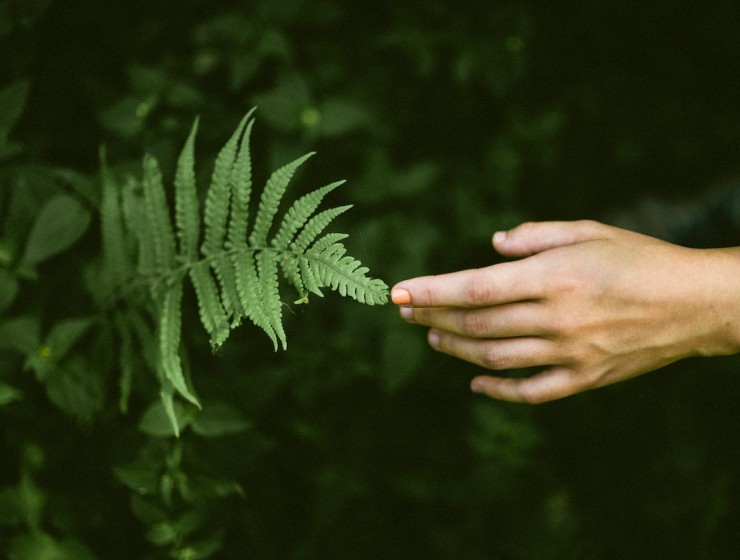 bellezza sostenibile, pexels